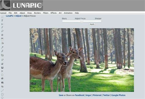 lunapic fix the photo.